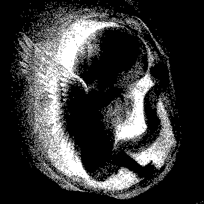 inscription 31f3e9d08135ca906e42eb3c7fb7ae9d56dcbe4f32c6bbb824fc1d8c0ddf4ce4i0