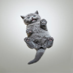 inscription 83635901034c1119d40f737345b991c76d717c3db0b3b85a62be5dc193e1d039i0