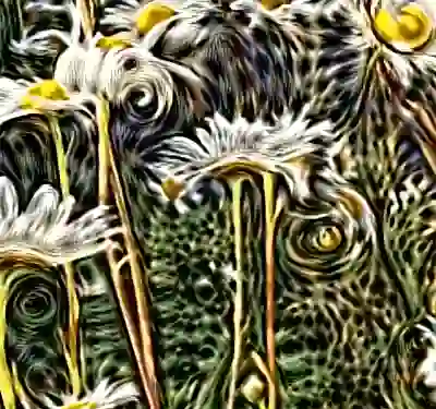 Image 37/60