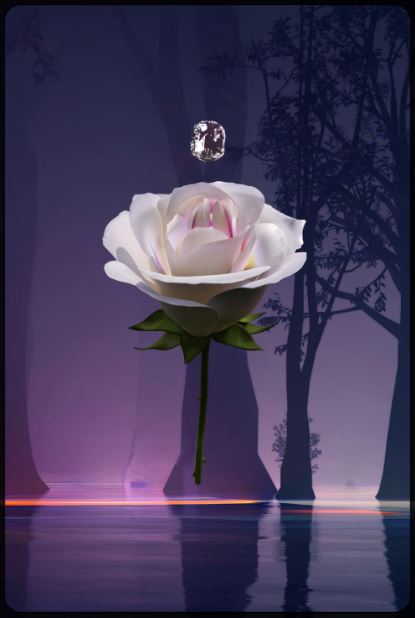 inscription bca6e1088bd2f3f4c39fbb2b54c806d8aaf9cd421bde28ae84ca8cdbe303d8c1i0