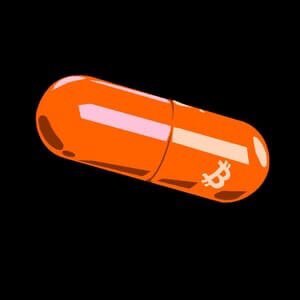 inscription dc9cac1f0223764a786952fc1124a51b72deb39f87255a40fbecb8d3b5c071dfi0