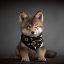 inscription ee9b1def85b61e20c62d14696e3f2af3bf4699ce45928ed4a885574489a3ff14i0